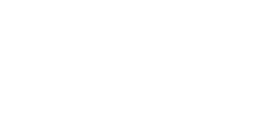 TAA - 2025Logo-lt